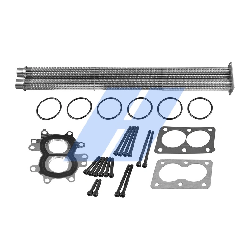 Repair Set, EGR module 29031109
