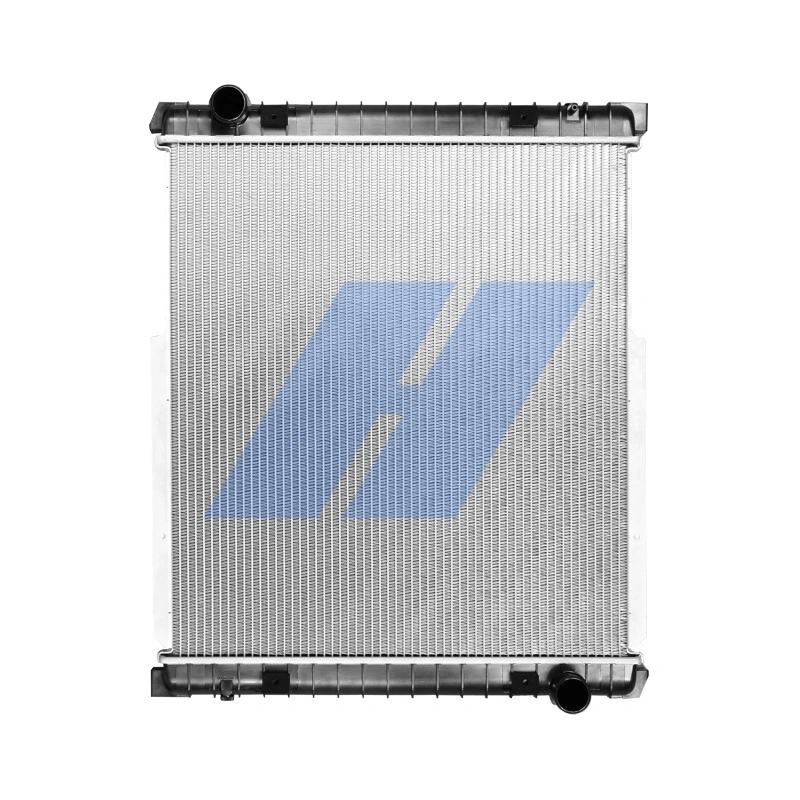 Radiator, engine cooling 10021029