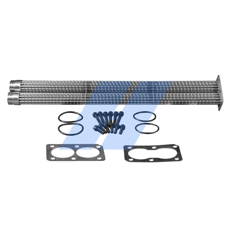 Reparatursatz, AGR-Modul 29031101