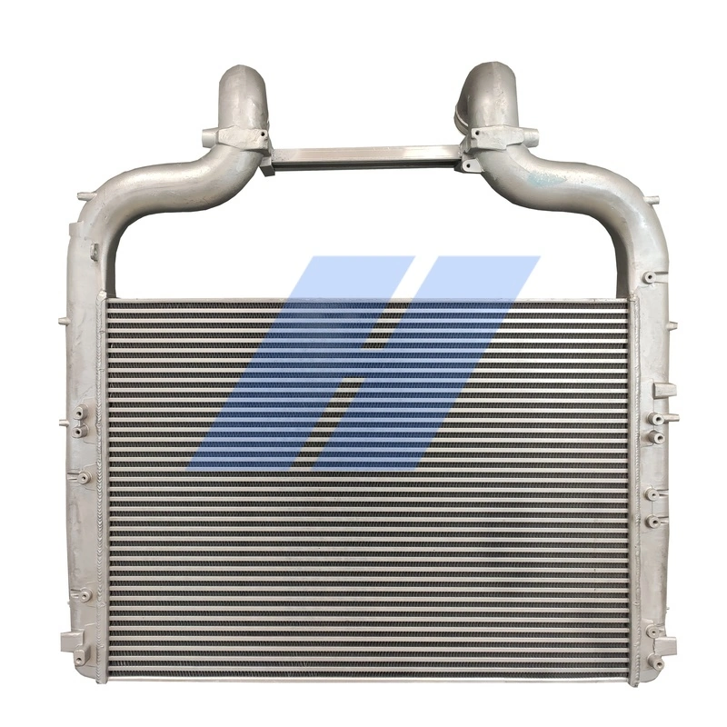 Charge Air Cooler 20011019