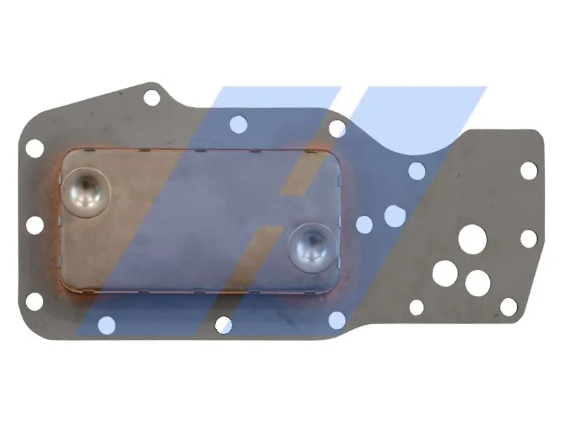 Oil Cooler, engine oil 30021004