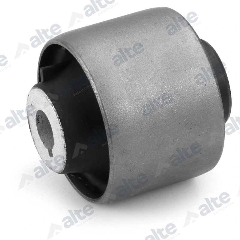 Mounting, control/trailing arm 87048AL