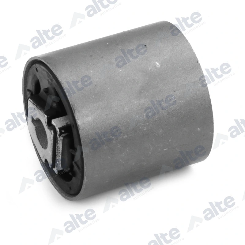 Mounting, control/trailing arm 81856AL