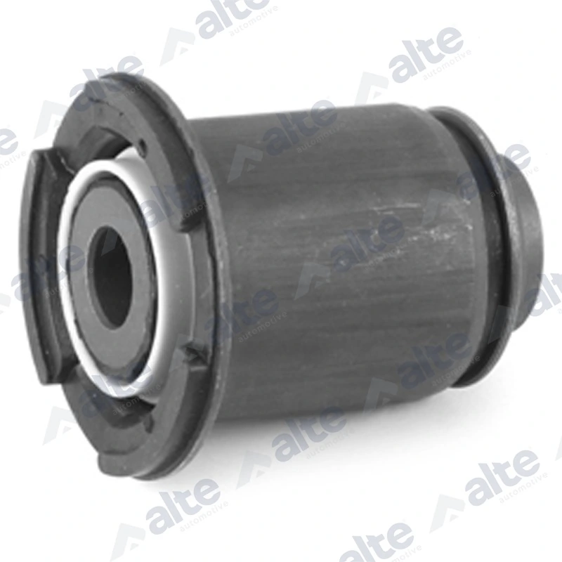 Mounting, control/trailing arm 101875AL