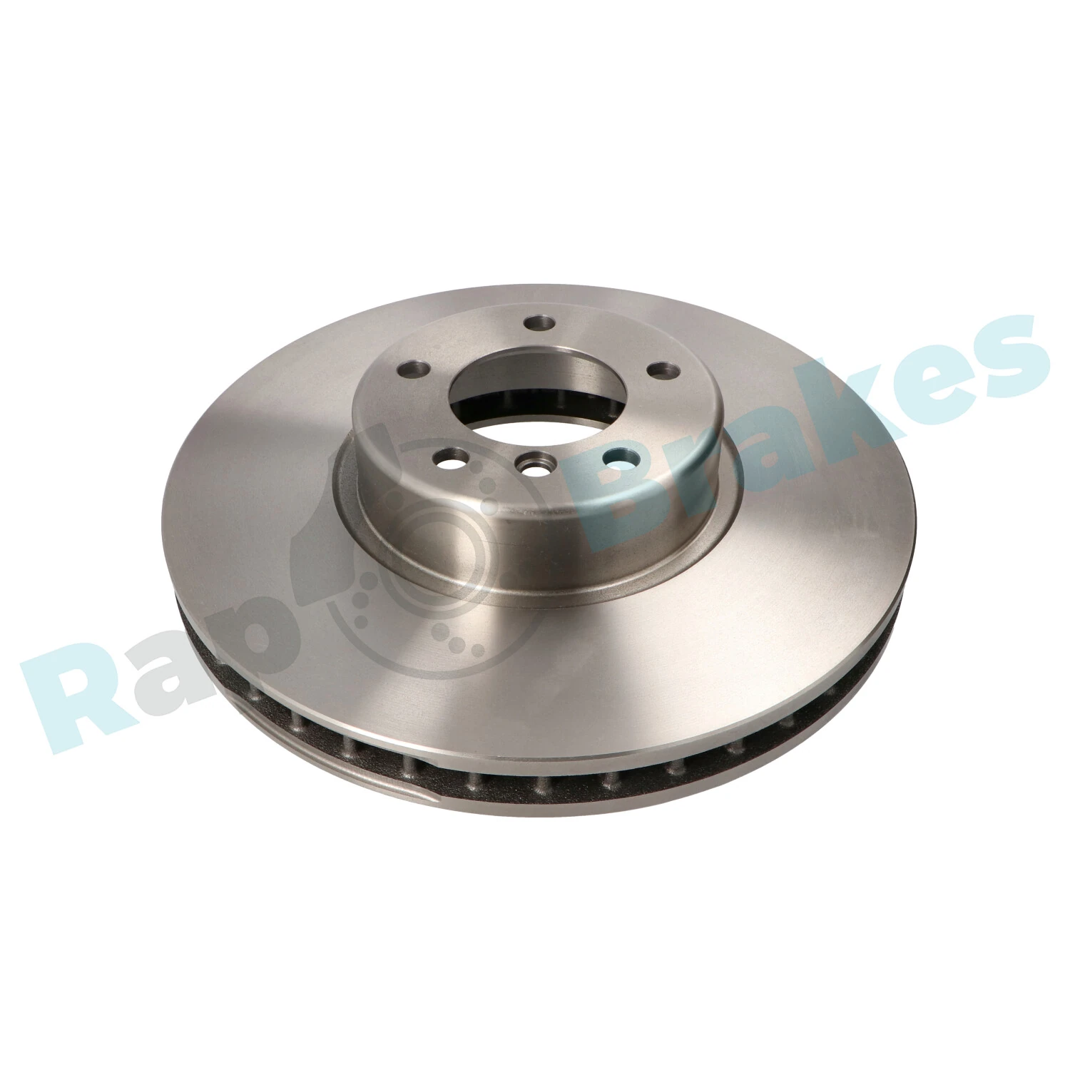 Brake Disc R-D0196