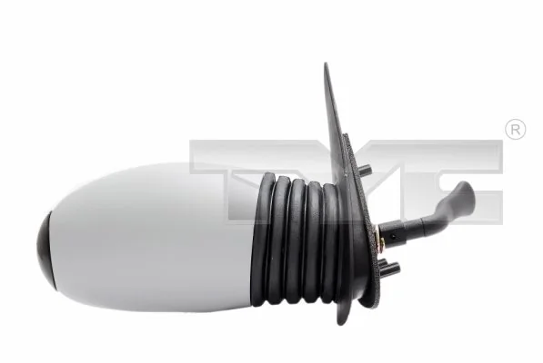 Exterior Mirror 309-0069