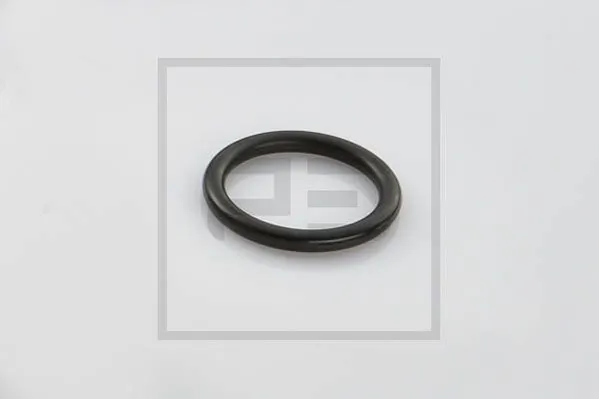 Seal Ring 036.621-00A