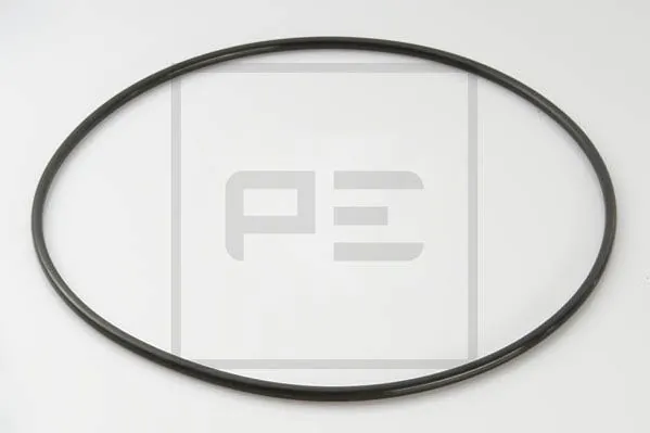 Sealing ring, wheel hub (planetary gearbox) 011.077-00A