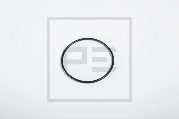 Seal Ring 066.175-00A