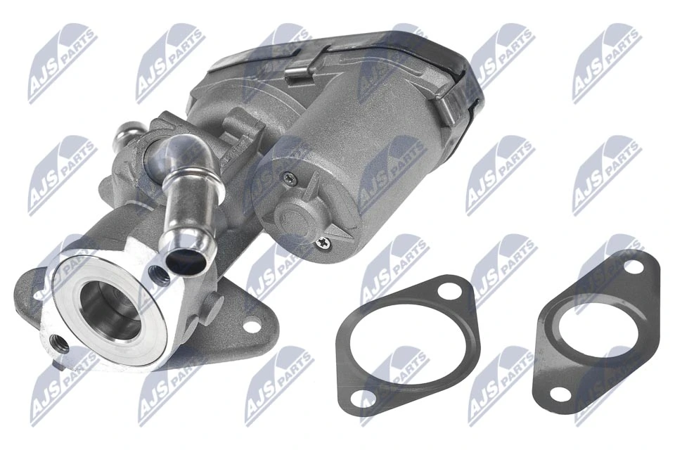 EGR Valve EGR-CT-003