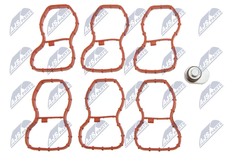 Repair Kit, intake manifold module BKS-BM-023