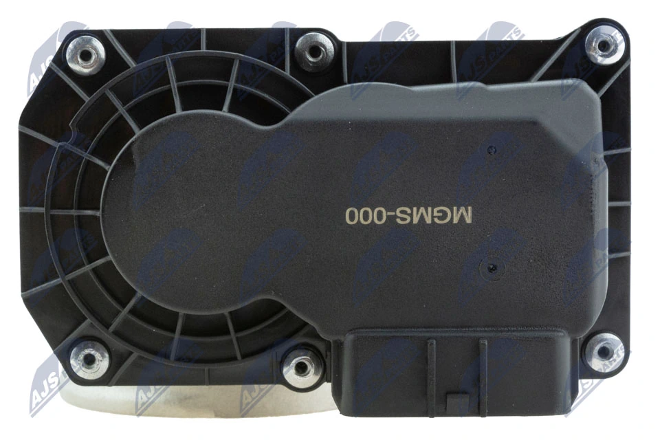 Throttle Body ETB-MS-000