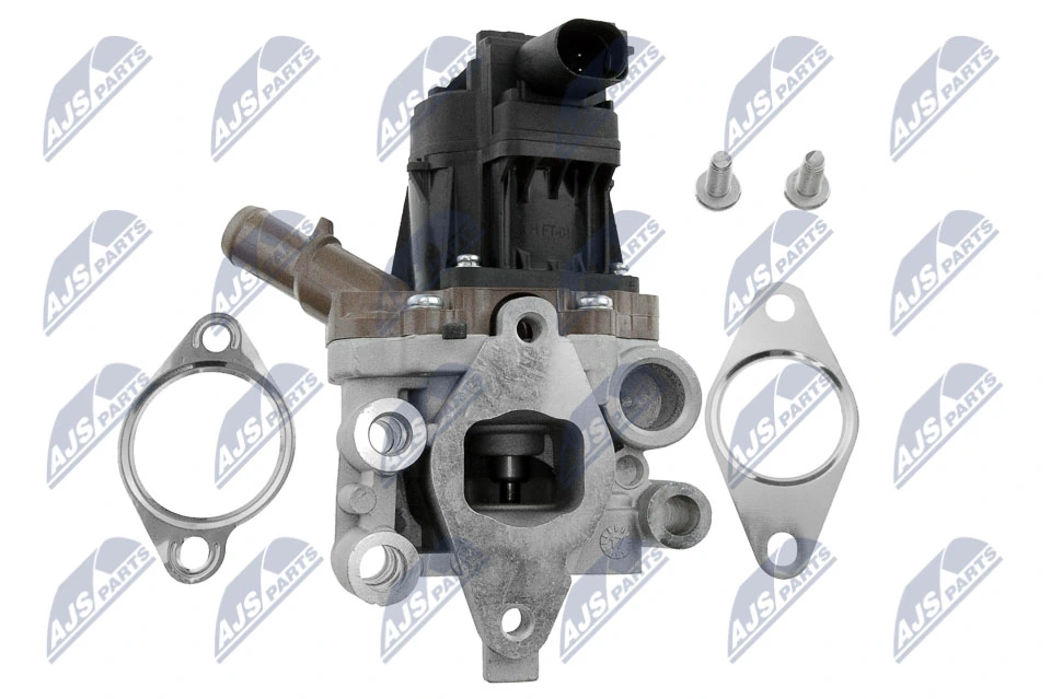 EGR Valve EGR-FT-010