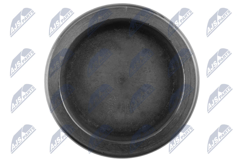 NTY HTZ-TY-024 Piston, brake caliper