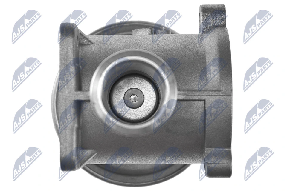 EGR Valve EGR-BM-001