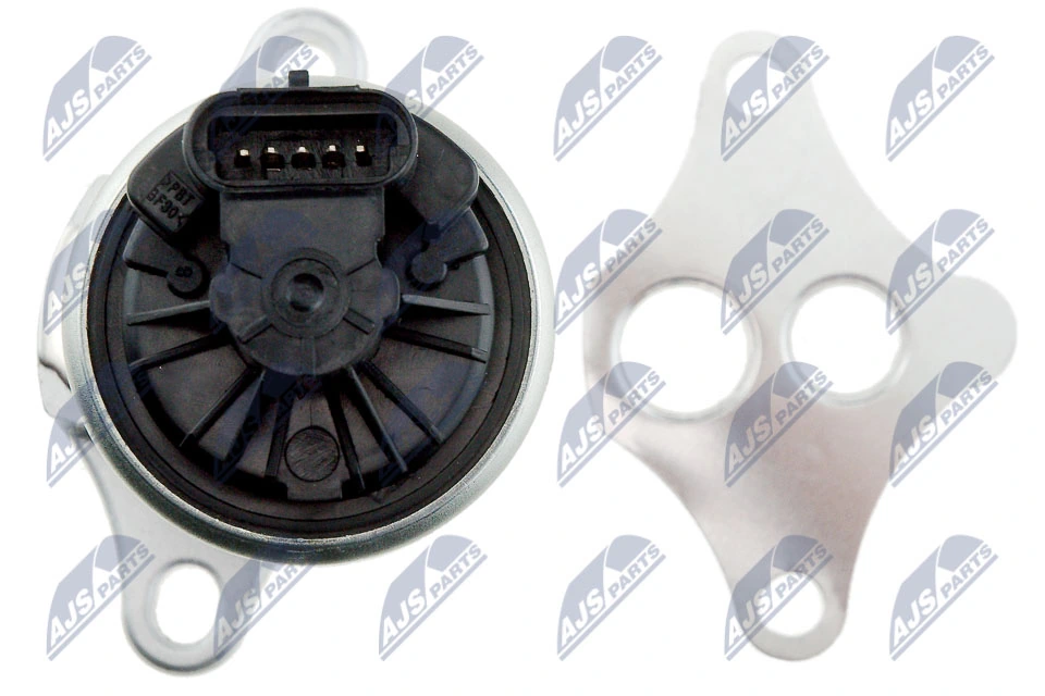 EGR Valve EGR-PL-005