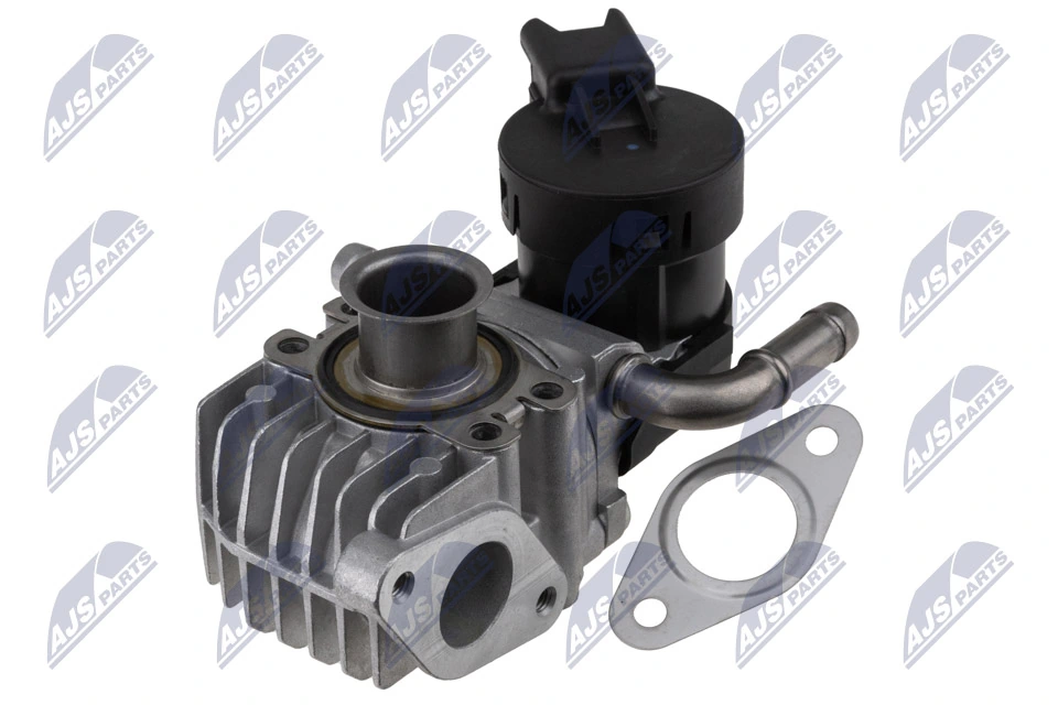 EGR Valve EGR-BM-008