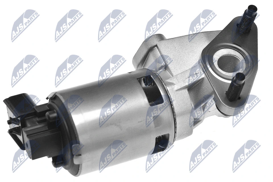 EGR Valve EGR-CH-004