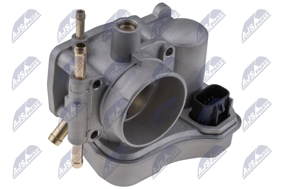 Throttle Body ETB-PL-009