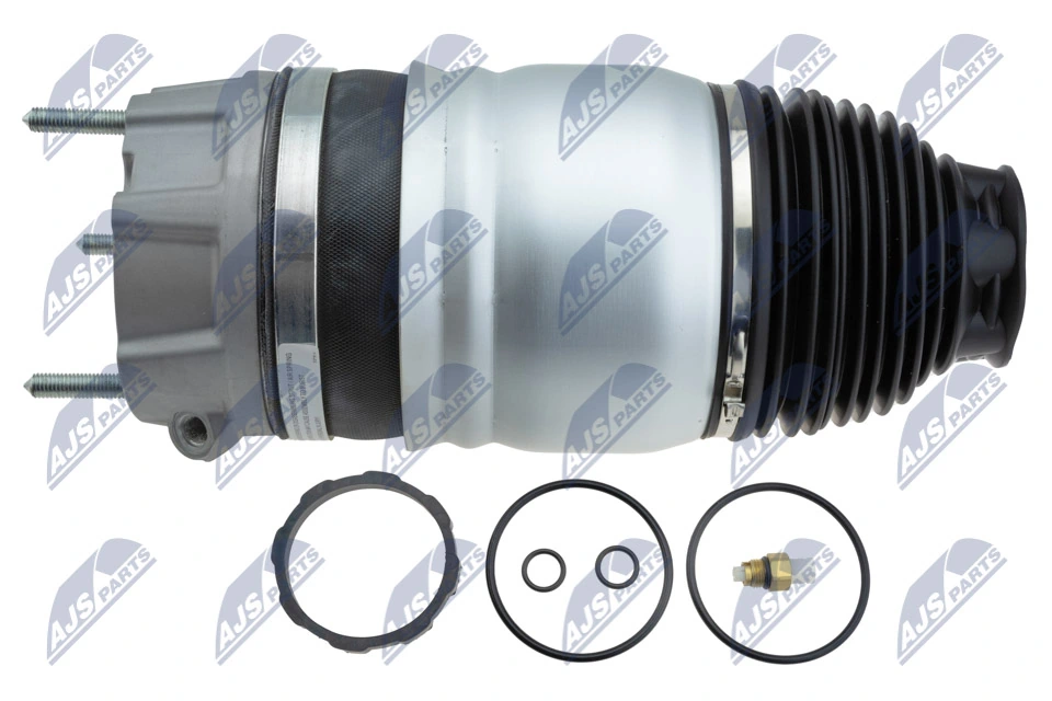 Air Suspension Strut EZC-PS-019