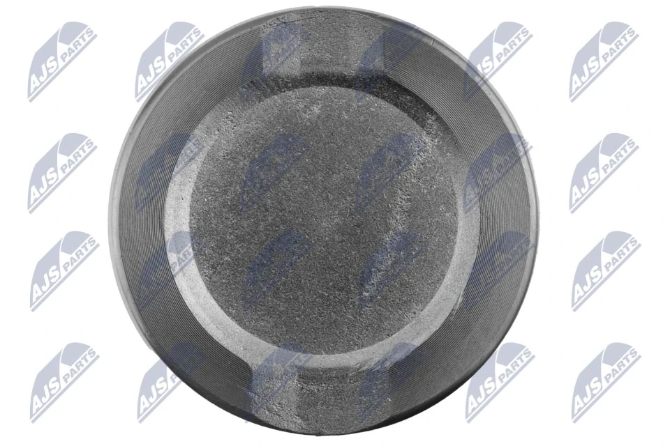 NTY HTZ-TY-007 Piston, brake caliper