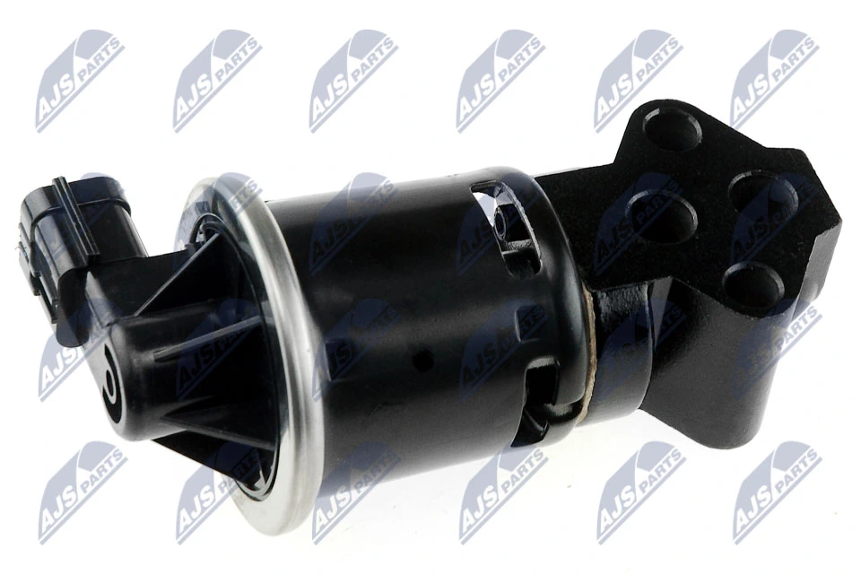 EGR Valve EGR-DW-003