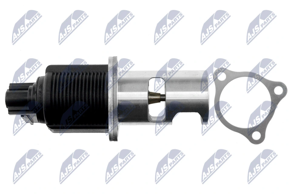 EGR Valve EGR-NS-001