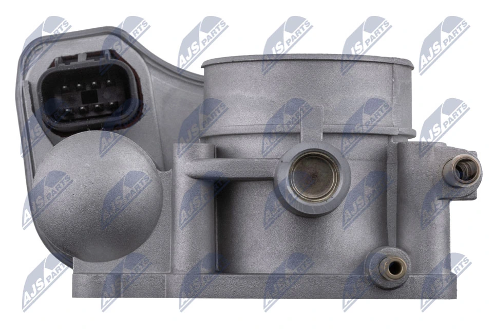 Throttle Body ETB-PL-009