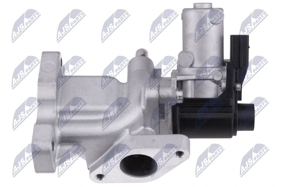 EGR Valve EGR-DW-010