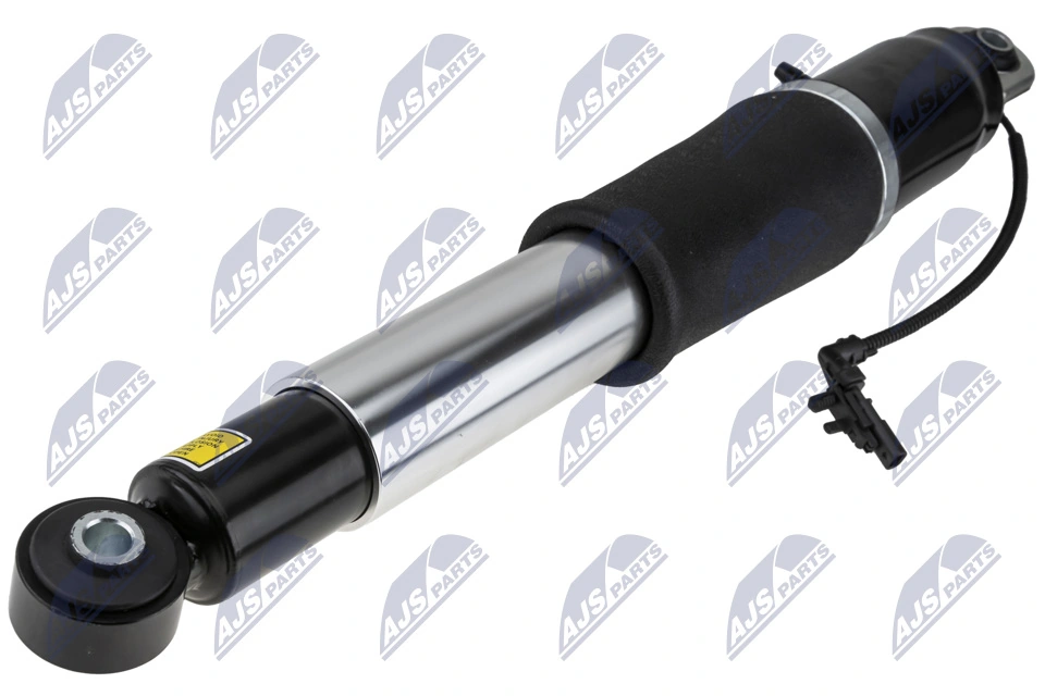 Air Suspension Strut A-CH-010