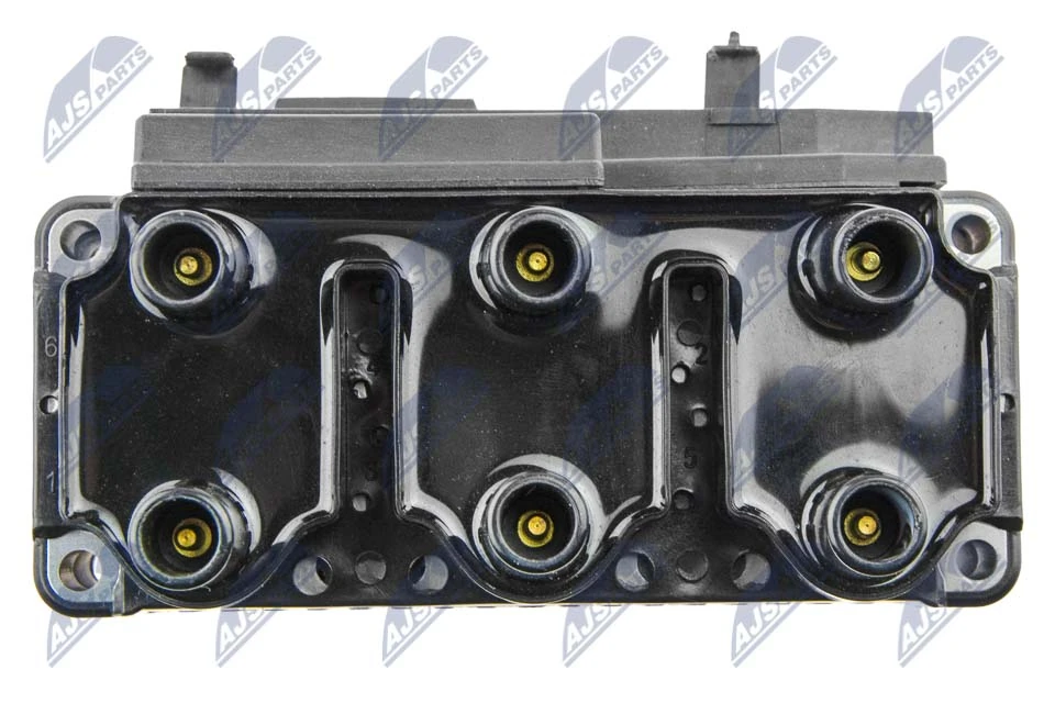 Ignition Coil ECZ-VW-003