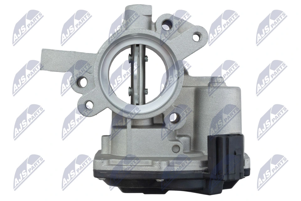 Throttle Body ETB-PL-007