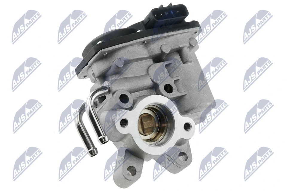 EGR Valve EGR-NS-003