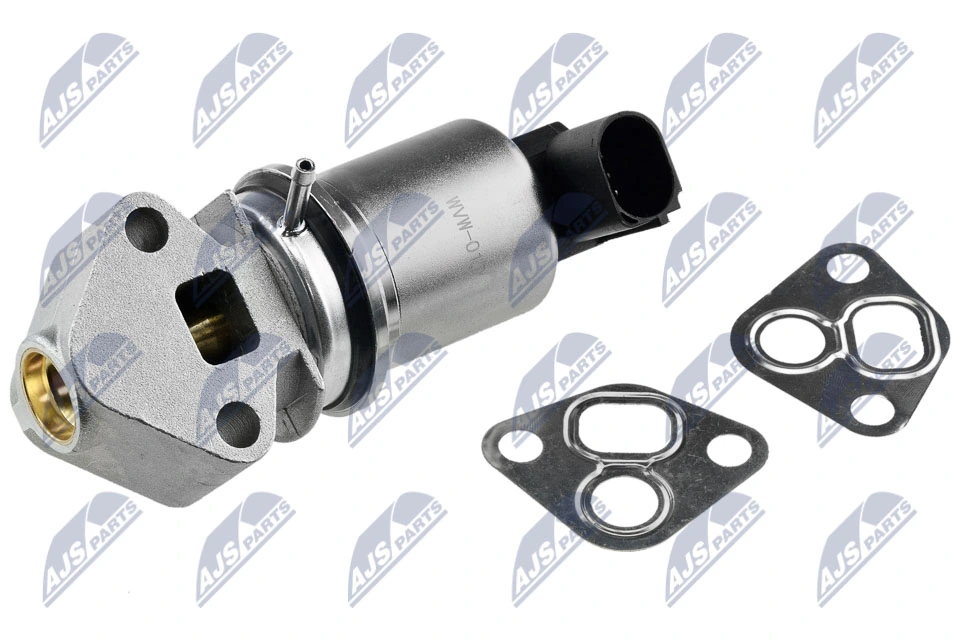 EGR Valve EGR-VW-010