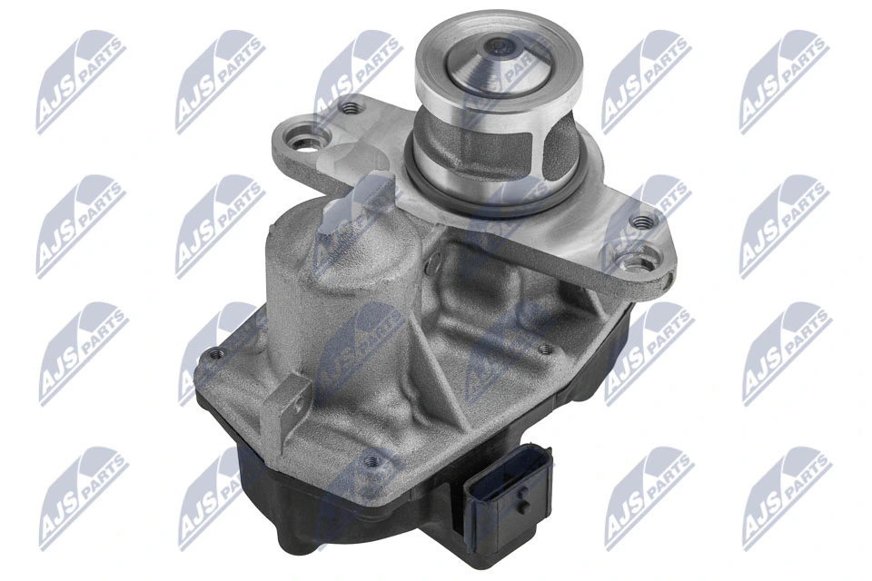 EGR Valve EGR-NS-010