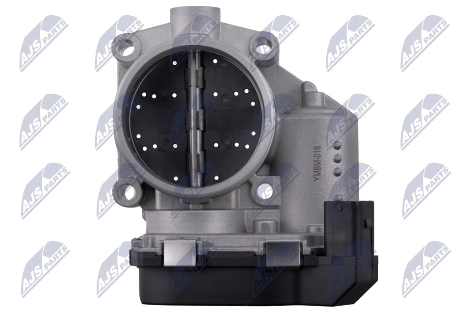 Throttle Body ETB-BM-016