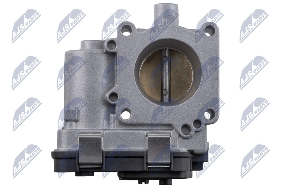 Throttle Body ETB-FT-004
