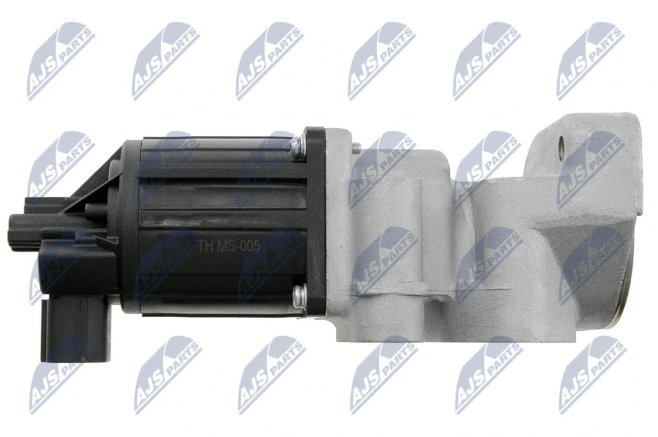 EGR Valve EGR-MS-005