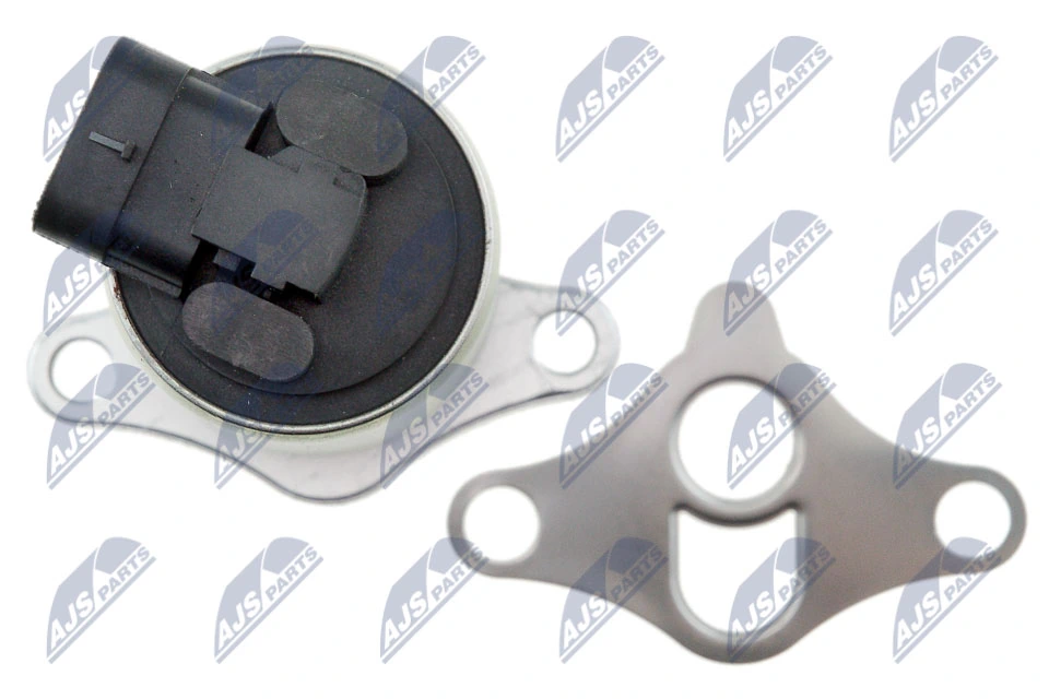 EGR Valve EGR-PL-000