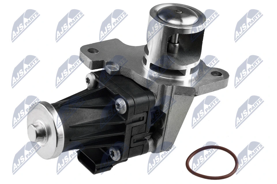 EGR Valve EGR-RE-007