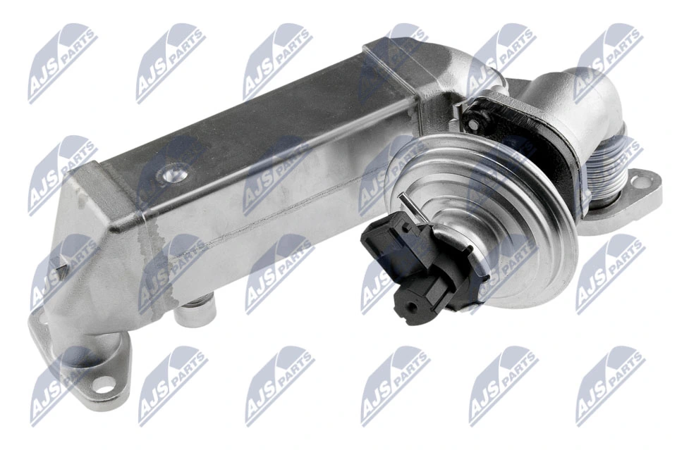 EGR Valve EGR-BM-011A