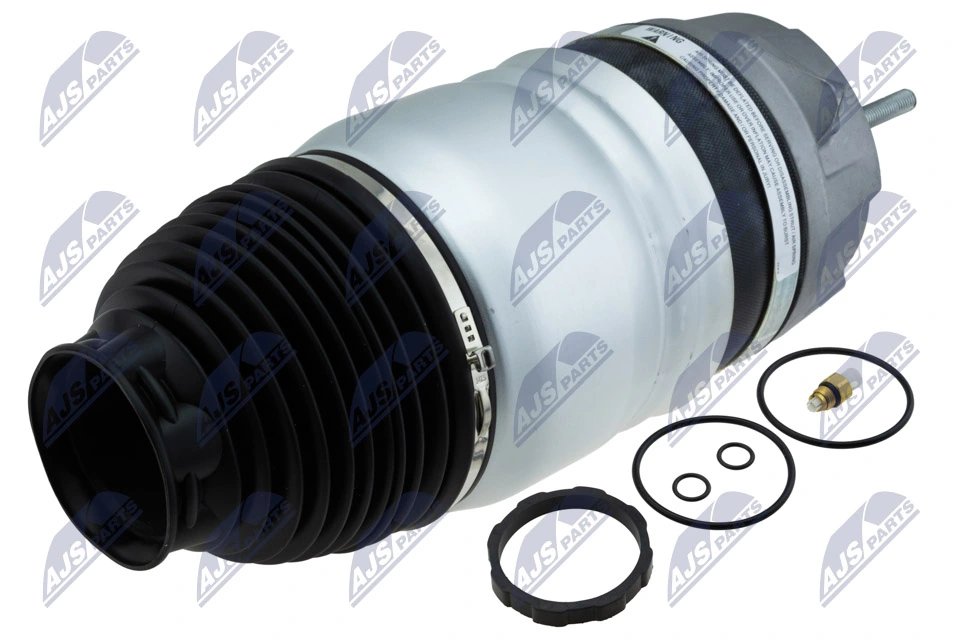 Air Suspension Strut EZC-PS-019