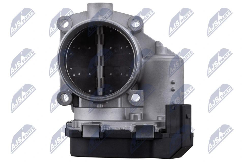 Throttle Body ETB-BM-011
