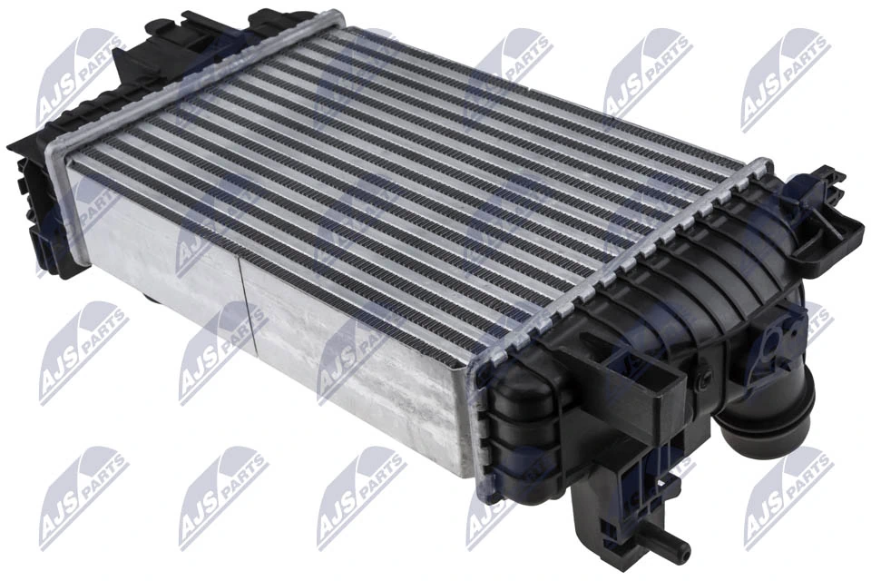 Charge Air Cooler CNG-PL-009
