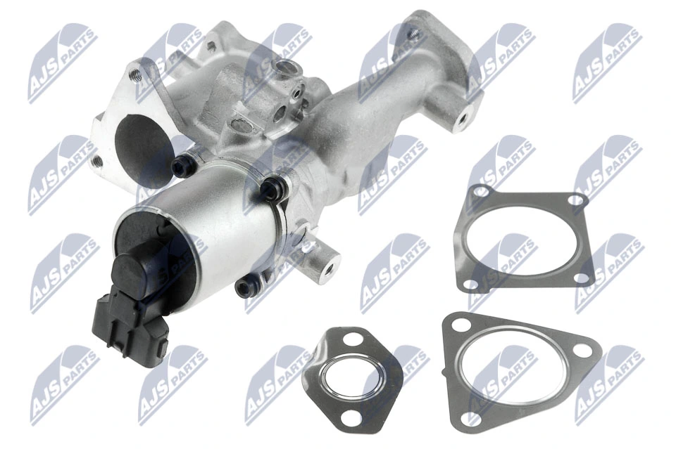 EGR Valve EGR-PL-017