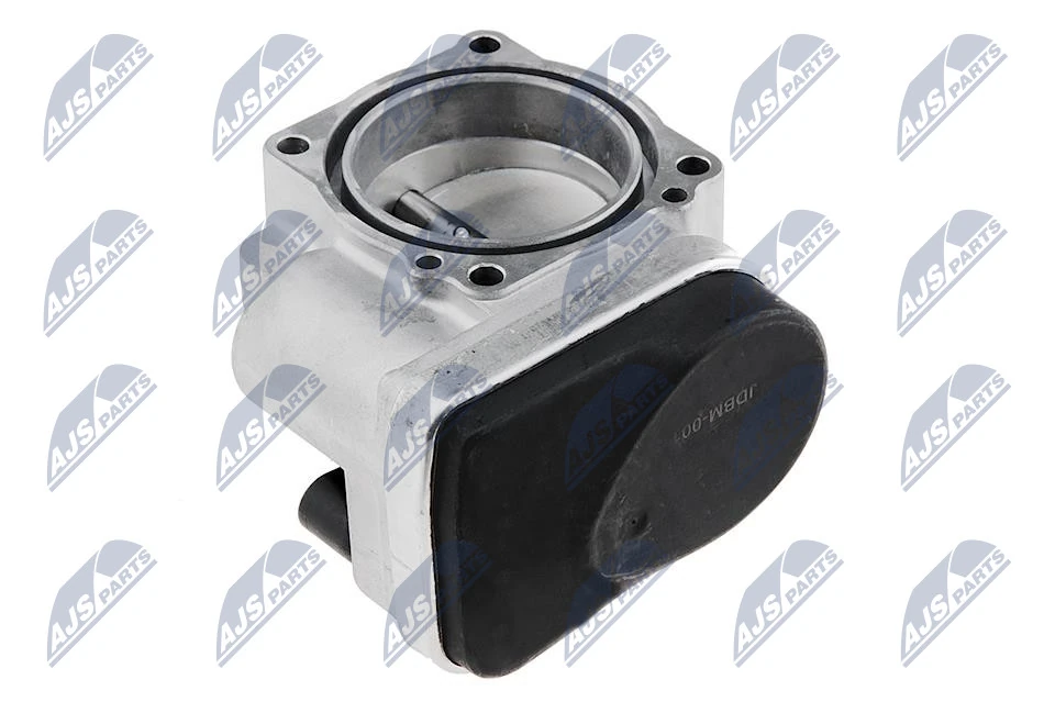 Throttle Body ETB-BM-001