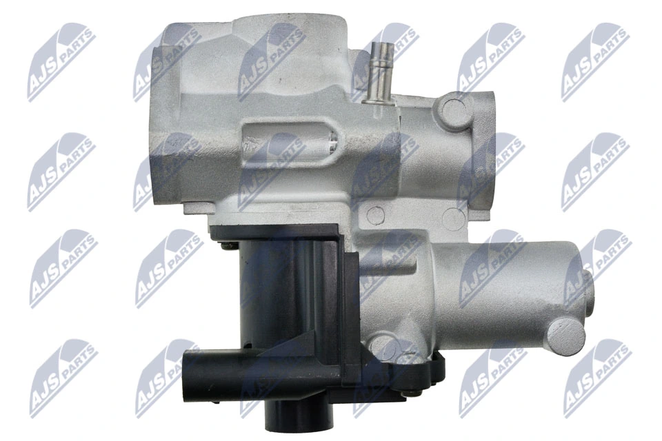 EGR Valve EGR-AU-018