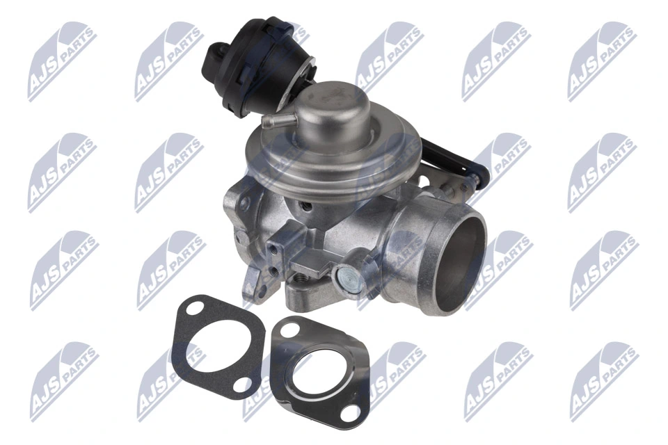 EGR Valve EGR-VW-031