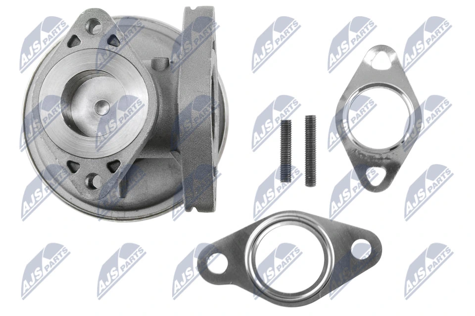 EGR Valve EGR-FR-013