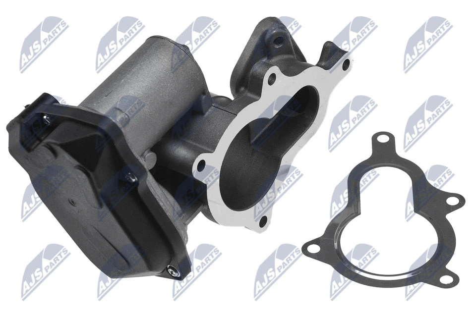 EGR Valve EGR-AU-005